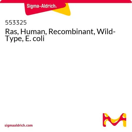 Sigma-Aldrich Ras, Human, Recombinant, Wild-Type, E. coli