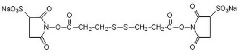 Sigma-Aldrich DSP,水溶性