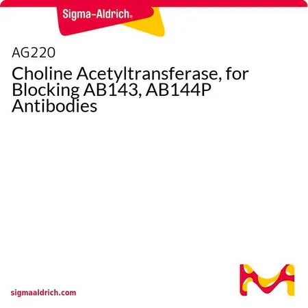 Sigma-Aldrich 胆碱乙酰转移酶，用于封闭AB143、AB144P抗体