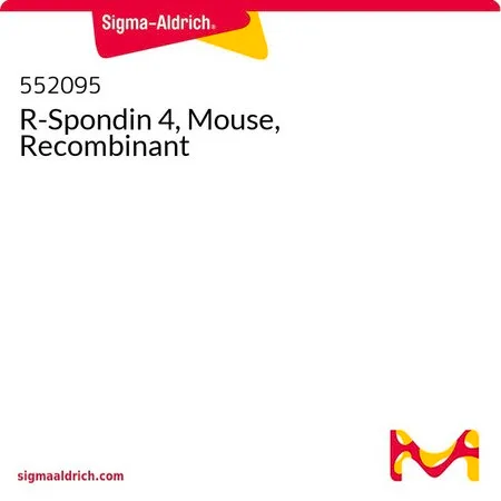 Sigma-Aldrich R-Spondin 4, Mouse, Recombinant