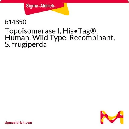 Sigma-Aldrich 拓扑异构酶I，His•Tag®，人，野生型，重组，草地贪夜蛾