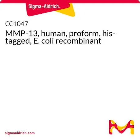 Sigma-Aldrich MMP-13, human, proform, his-tagged, E. coli recombinant