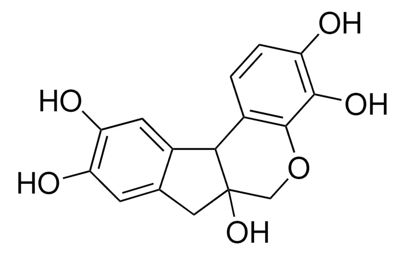 Sigma-Aldrich 苏木精