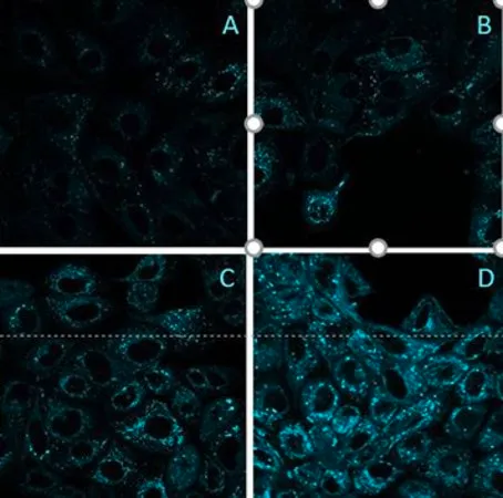 Sigma-Aldrich BioTracker™ Blue TFCH Oxidative Stress Probe