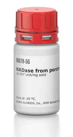 Sigma-Aldrich NADase from porcine brain,≥0.007单位/mg固体