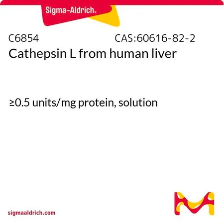 Sigma-Aldrich 组织蛋白酶L 来源于人类肝脏,≥0.5单位/mg蛋白,溶液