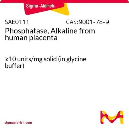 Sigma-Aldrich 磷酸酶(碱性) 来源于人类胎盘,≥10单位/mg固体(在甘氨酸缓冲液中)