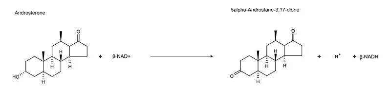 Sigma-Aldrich 3α-羟甾类脱氢酶 来源于睾丸酮假单胞菌，≥15单位/mg蛋白质