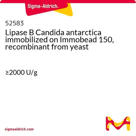 Sigma-Aldrich 南极假丝酵母脂肪酶, 重组, 固定在 Immobead 150 上 来源于酵母,≥2000 U/g