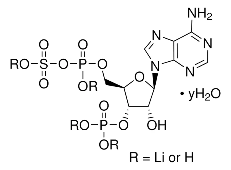 Sigma-Aldrich 腺苷 3′-磷酸 5′-磷酰硫酸 锂盐 水合物,≥60%,粉末