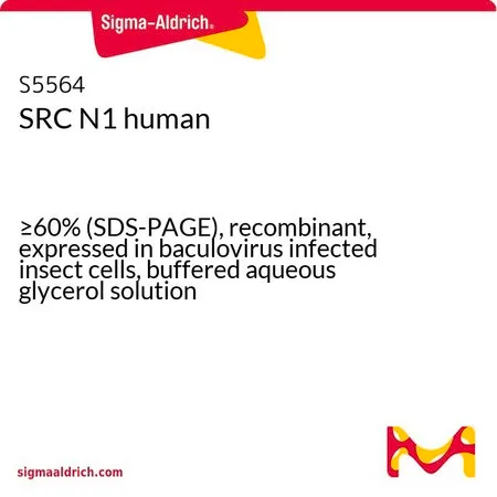 Sigma-Aldrich SRC N1 human,≥60%(SDS-PAGE),重组,在杆状病毒感染的昆虫细胞中表达,甘油缓冲水溶液