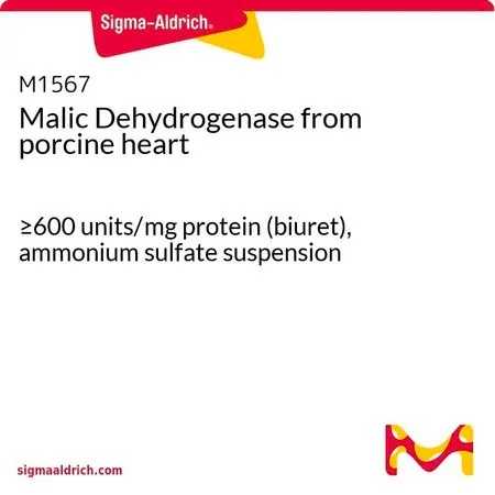 Sigma-Aldrich 苹果酸脱氢酶 来源于猪心脏,≥600单位/mg蛋白质(缩二脲),硫酸铵混悬液