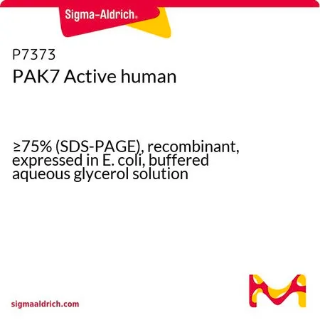 Sigma-Aldrich PAK7 Active human,≥75%(SDS-PAGE),重组,在大肠杆菌中表达,甘油缓冲水溶液