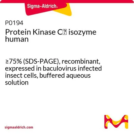 Sigma-Aldrich Protein Kinase Cζ isozyme human,≥75%(SDS-PAGE),重组,在杆状病毒感染的昆虫细胞中表达,缓冲水溶液