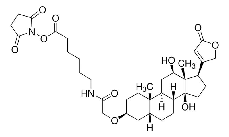 Sigma-Aldrich 地高辛NHS酯,≥80%(HPLC)