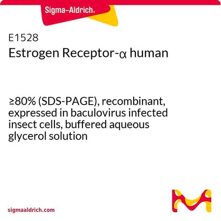 Sigma-Aldrich 雌激素受体-α 人，≥80%（SDS-PAGE），重组，在杆状病毒感染的昆虫细胞中表达，甘油缓冲水溶液