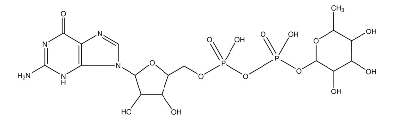 Sigma-Aldrich 鸟苷 5′-二磷酸-β- L -岩藻糖 钠盐，≥85%，粉末
