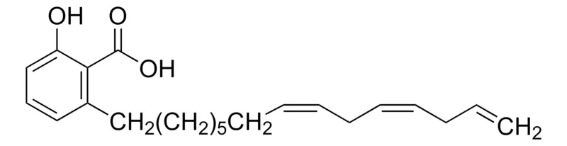 Sigma-Aldrich (15:3)-漆树酸，≥85%（LC/MS-ELSD）