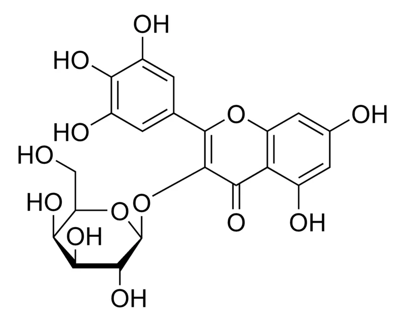 Sigma-Aldrich Myricetin 3-O-β-D-Galactopyranoside，≥85%（LC/MS-ELSD）