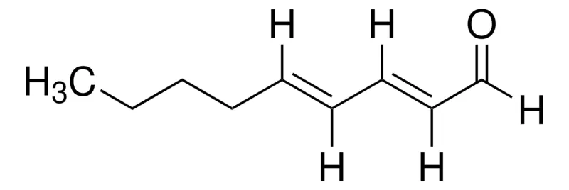 Sigma-Aldrich 反,反-2,4-壬二烯醛，≥89%，FG