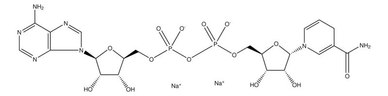 Sigma-Aldrich α-Nicotinamide adenine dinucleotide, reduced disodium salt,≥90%