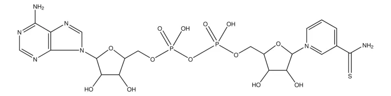 Sigma-Aldrich 硫代烟酰胺腺嘌呤二核苷酸,≥90%