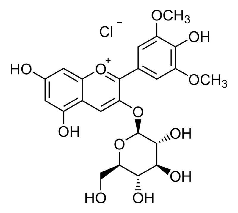 Sigma-Aldrich 氯化茴香酚,≥90%(HPLC)
