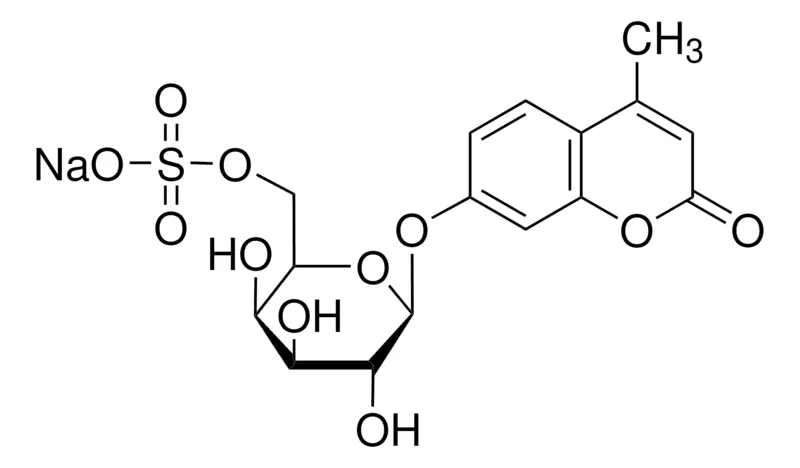 Sigma-Aldrich 4-Methylumbelliferyl β-D-galactopyranoside-6-sulfate，半乳糖-6-硫酸硫酸酯酶底物，≥90%（HPLC），粉末