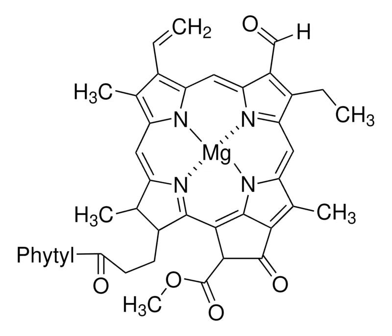 Sigma-Aldrich 叶绿素 b 来源于菠菜,≥90%(HPLC),≤0.5%叶绿素a
