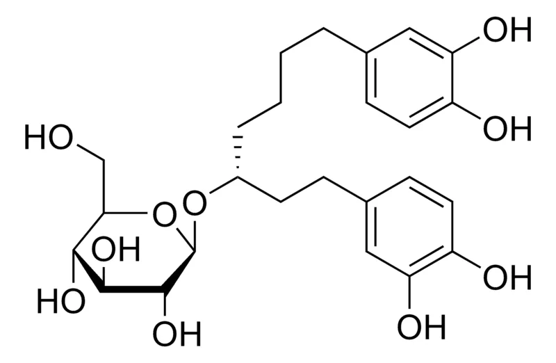 Sigma-Aldrich Rubranoside A，≥90%（LC/MS-ELSD）