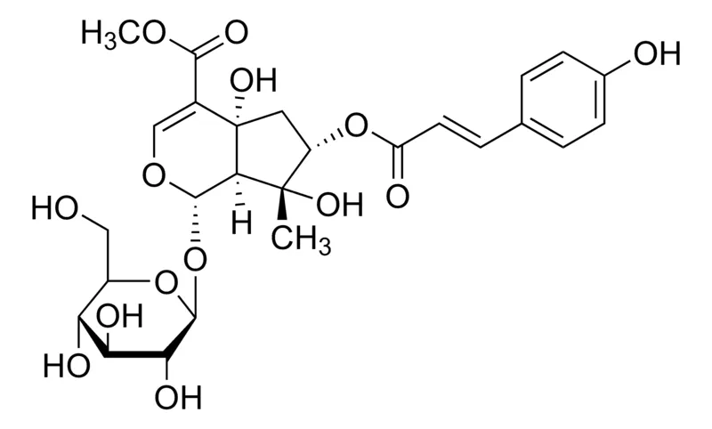 Sigma-Aldrich Lamiidoside,≥90%(LC/MS-ELSD)