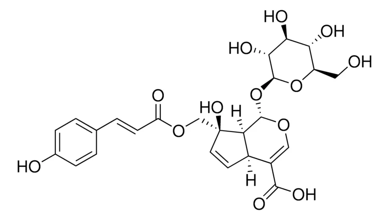 Sigma-Aldrich Vaccinoside,≥90%(LC/MS-ELSD)