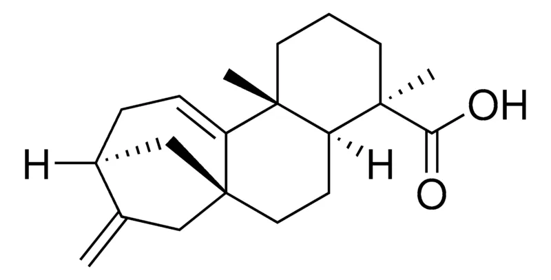 Sigma-Aldrich Grandiflorenic acid,≥90%(LC/MS-ELSD)