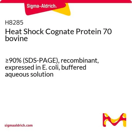 Sigma-Aldrich Heat Shock Cognate Protein 70 bovine,≥90%(SDS-PAGE),重组,在大肠杆菌中表达,缓冲水溶液