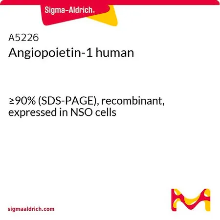 Sigma-Aldrich Angiopoietin-1 human,≥90%(SDS-PAGE),重组,在NSO细胞中表达