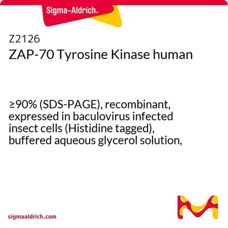 Sigma-Aldrich ZAP-70 Tyrosine Kinase human，≥90%（SDS-PAGE），重组，在杆状病毒感染的昆虫细胞中表达（组氨酸标记），甘油缓冲水溶液，≥150 U/mg