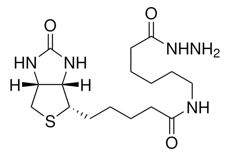 Sigma-Aldrich （+）-生物素酰胺己酰肼，≥90%（TLC），粉末