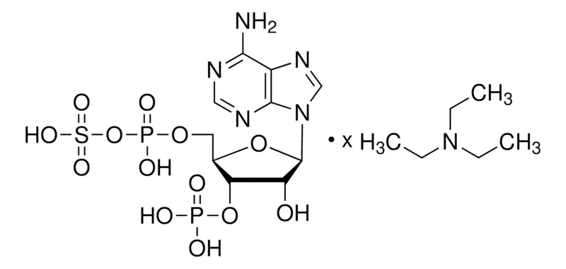 Sigma-Aldrich 腺苷 3′-磷酸盐 5′-磷酸硫酸盐 三乙铵盐,≥90.0%(HPLC)