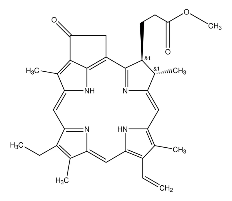 Sigma-Aldrich 焦脱镁叶绿酸 a 甲酯,≥93%