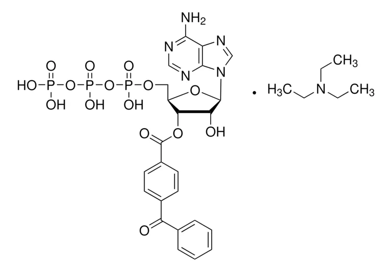 Sigma-Aldrich 2′(3′)-O-(4-苯甲酰苯甲酰)腺苷5′-三磷酸 三乙铵盐，≥93%
