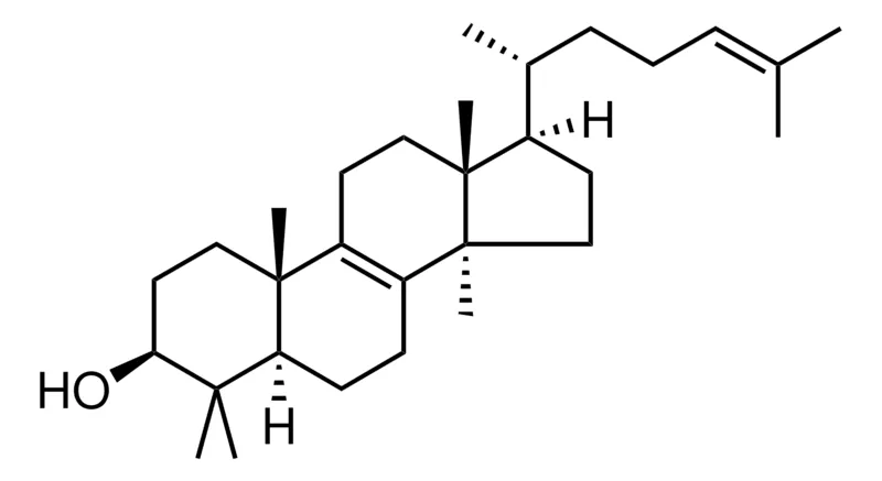 Sigma-Aldrich 羊毛甾醇,≥93%,粉末