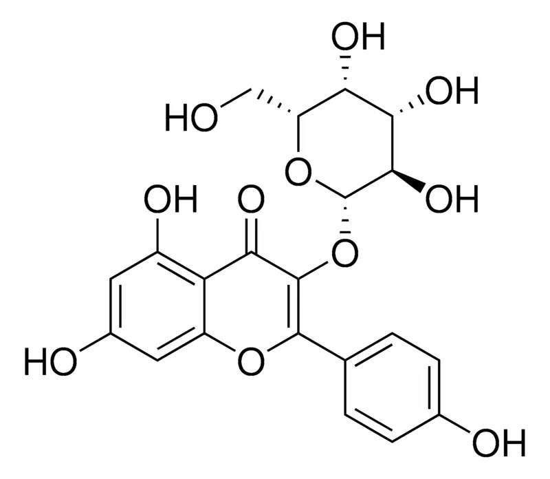 Sigma-Aldrich Kaempferol 3-O-galactoside,≥95%
