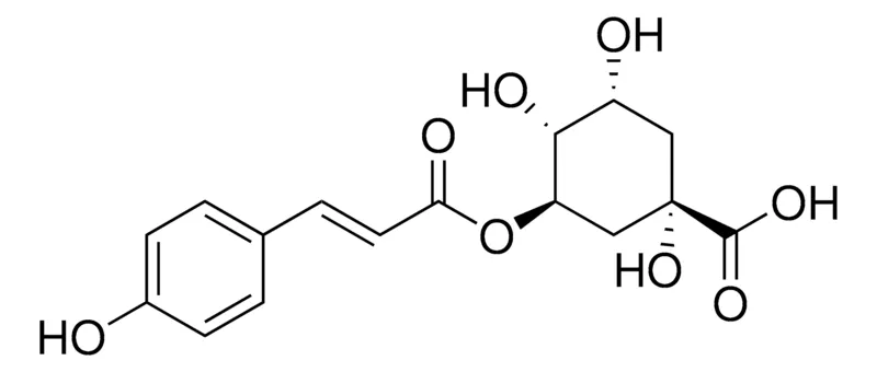 Sigma-Aldrich 3-O-p-Coumaroylquinic acid,≥95%