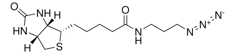 Sigma-Aldrich N-(3-Azidopropyl)biotinamide，≥95%