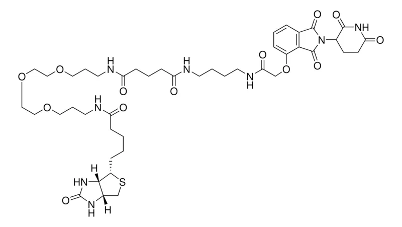 Sigma-Aldrich Biotin-Thalidomide,≥95%