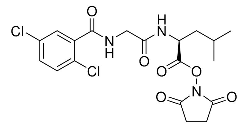 Sigma-Aldrich 2,5-dioxopyrrolidin-1-yl (2,5-dichlorobenzoyl)glycyl-L-leucinate,≥95%