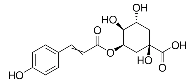 Sigma-Aldrich 5-O-p-Coumaroylquinic acid,≥95%