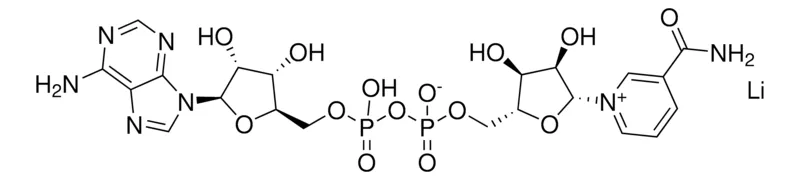 Sigma-Aldrich β-烟酰胺腺嘌呤二核苷酸 锂盐 来源于酿酒酵母，≥95%