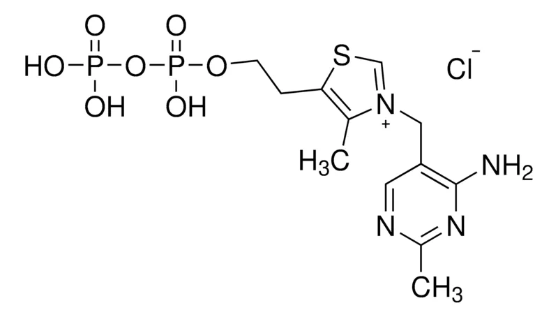 Sigma-Aldrich 硫胺素焦磷酸，≥95%，粉末