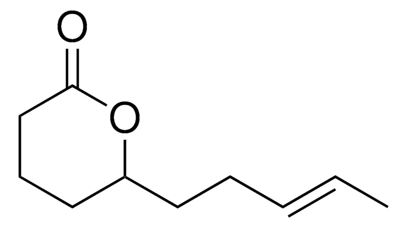 Sigma-Aldrich Jasmolactone，≥95%
